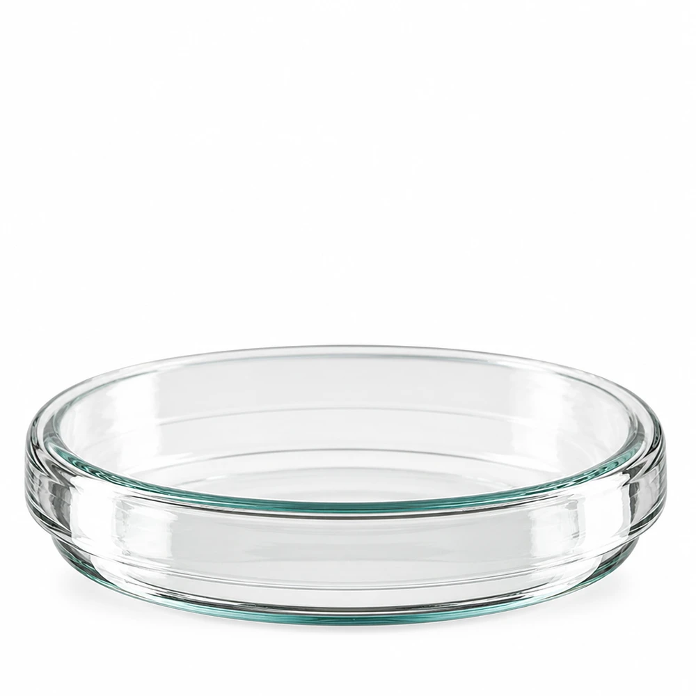 Petrischale 80x15mm Glas Glaspetrischale 80mm mit leicht grünlichem Glastönung und glattem Innenbereich
