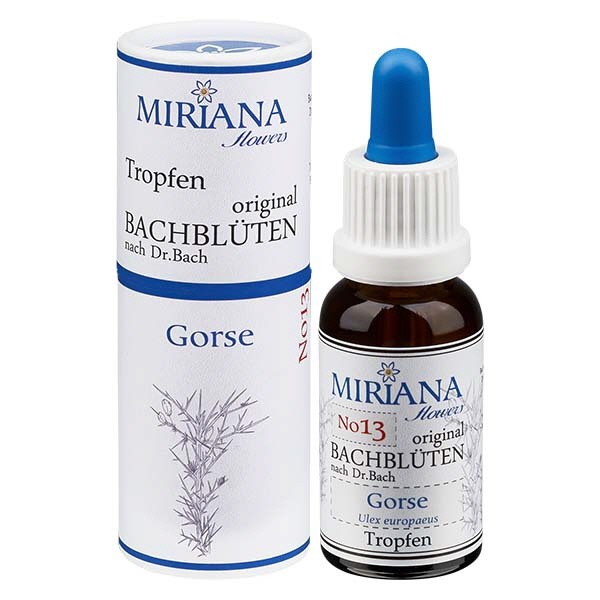 13 Gorse, 20ml Essenz, MirianaFlowers 13 Gorse, 20ml Essenz, MirianaFlowers