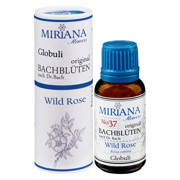 37 Wild Rose, 20g Bach-Globuli, MirianaFlowers