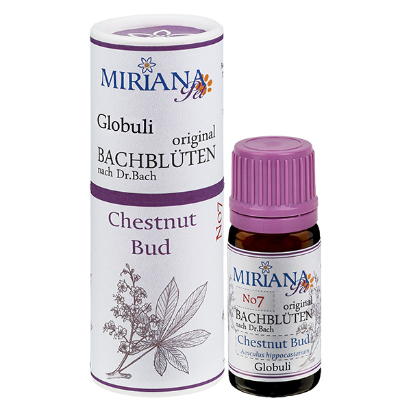 7 Chestnut Bud, 10g Globuli, MirianaPet