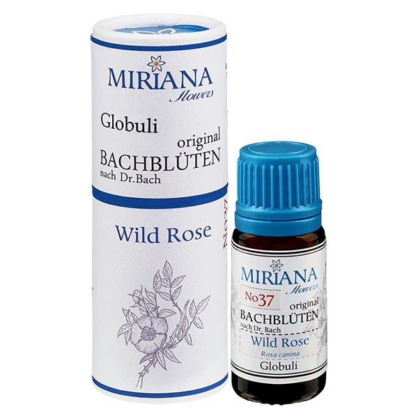37 Wild Rose, 10g Bach-Globuli, MirianaFlowers