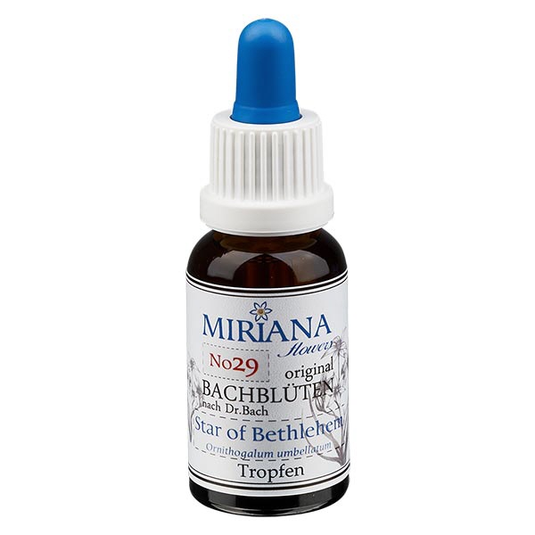 29 Star of Bethlehem, 30ml Essenz, MirianaFlowers
