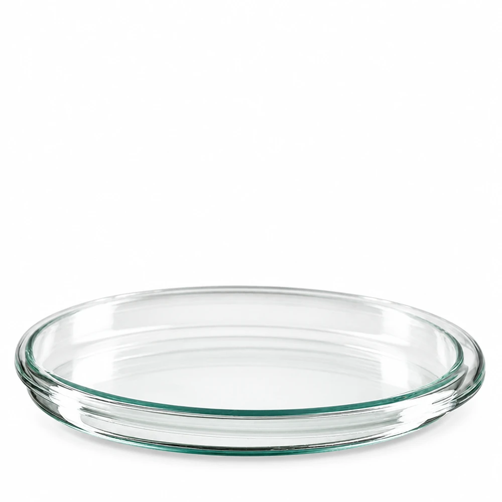 Klare Glasschale 100x10mm hitzebeständig für wissenschaftliche Experimente