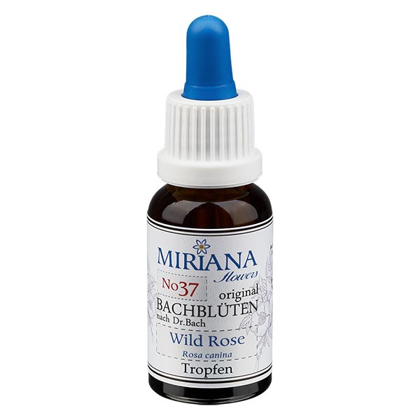 37 Wild Rose, 30ml Essenz, MirianaFlowers