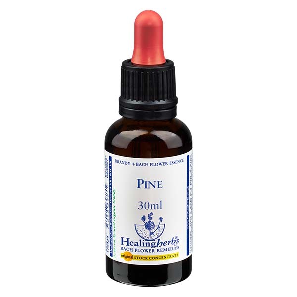 24 Pine, 30ml, Healing Herbs