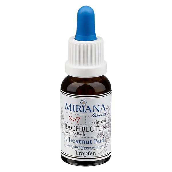 7 Chestnut Bud, 30ml Essenz, MirianaFlowers