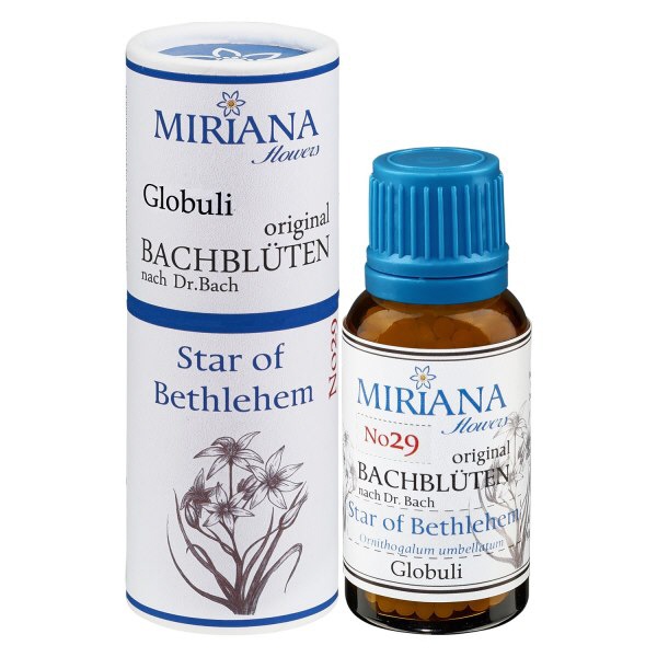 29 Star of Bethlehem, 20g Bach-Globuli, MirianaFlowers