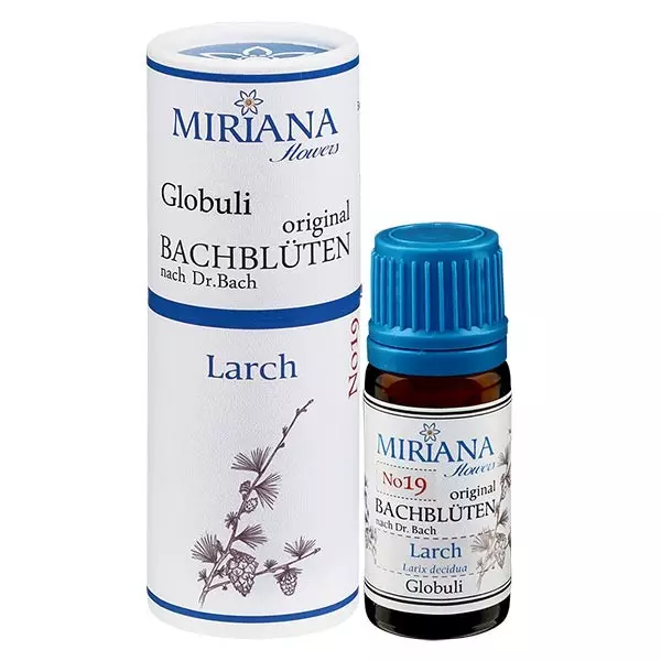 19 Larch, 10g Bach-Globuli, MirianaFlowers 19 Larch, 10g Bach-Globuli, MirianaFlowers