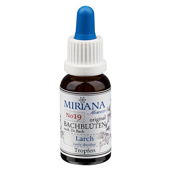 19 Larch, 30ml Essenz, MirianaFlowers