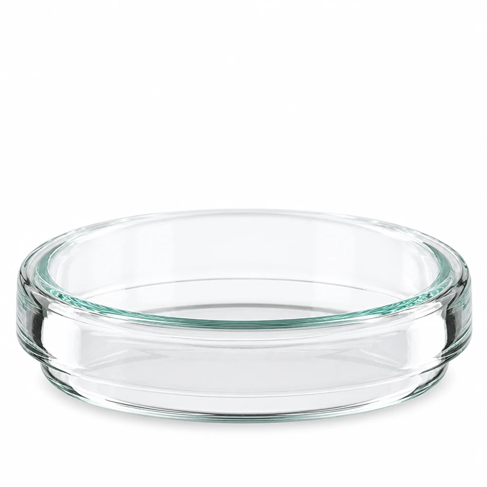 Petrischale 60x15 aus Glas Petrischale Glas 60mm mit grünlichem Glaston niedrige Bauform 15mm auf weißem Grund