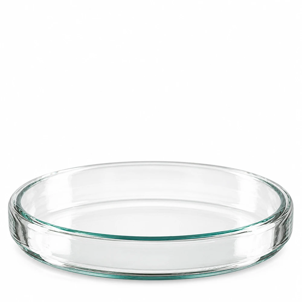 Petrischale 90x15mm Glas Mikrobiologie Petrischale aus Glas 90mm für Labor und Wissenschaft Seitenansicht