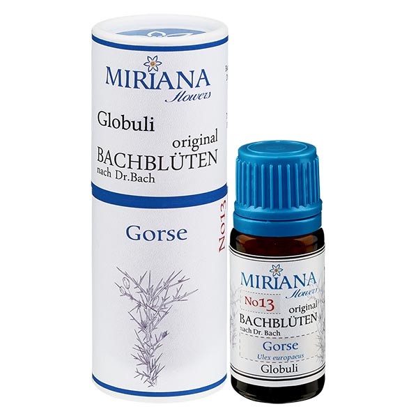 13 Gorse, 10g Bach-Globuli, MirianaFlowers