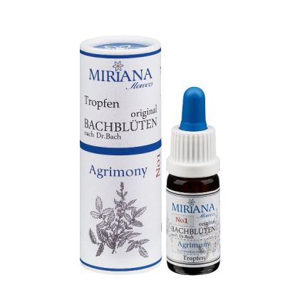 Alkoholische Einzel Essenzen 10ml