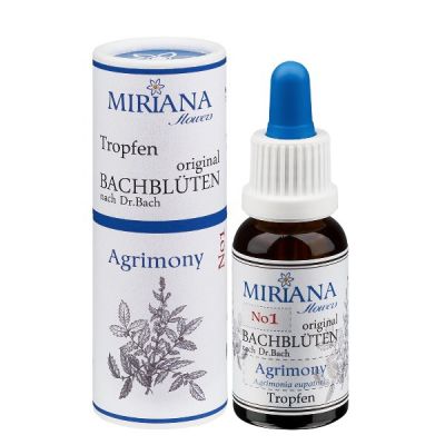 Alkoholische Einzel Essenzen 20 ml