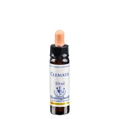 Alkoholische Einzelessenzen 10 ml